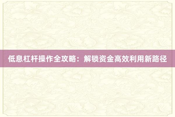 低息杠杆操作全攻略：解锁资金高效利用新路径
