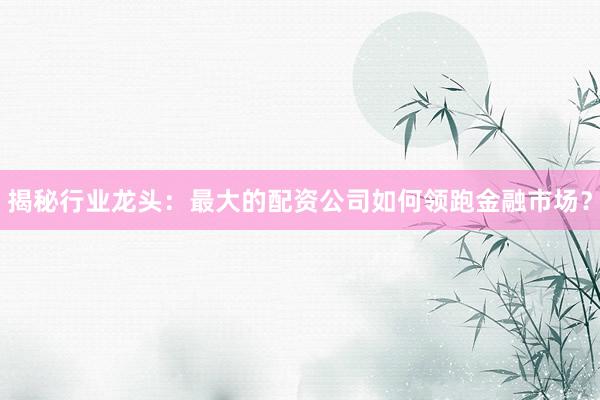 揭秘行业龙头：最大的配资公司如何领跑金融市场？