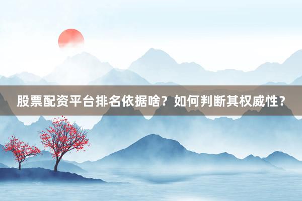 股票配资平台排名依据啥？如何判断其权威性？