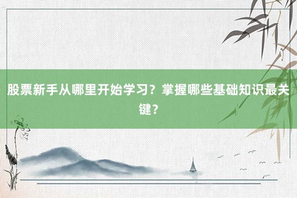 股票新手从哪里开始学习？掌握哪些基础知识最关键？