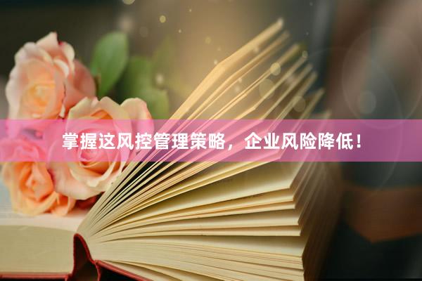 掌握这风控管理策略，企业风险降低！