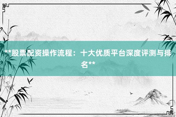 **股票配资操作流程：十大优质平台深度评测与排名**