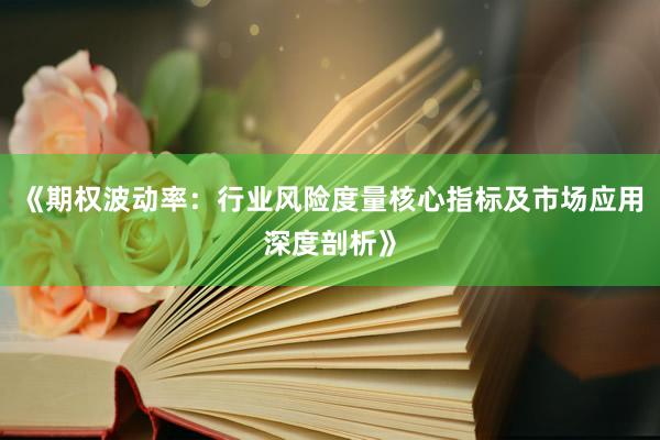 《期权波动率：行业风险度量核心指标及市场应用深度剖析》