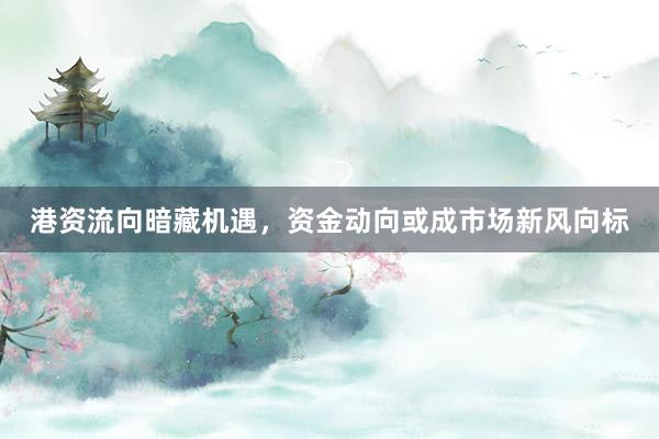 港资流向暗藏机遇，资金动向或成市场新风向标