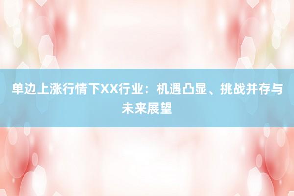 单边上涨行情下XX行业：机遇凸显、挑战并存与未来展望