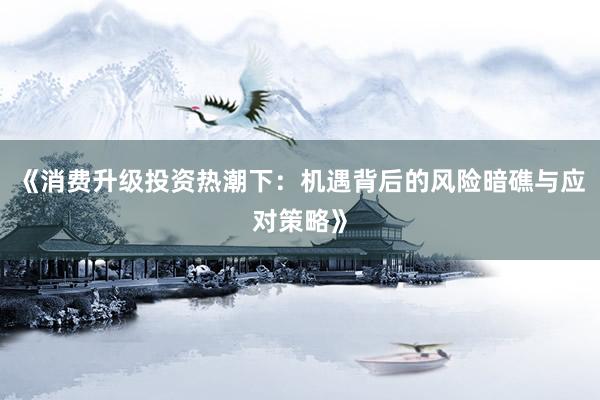 《消费升级投资热潮下：机遇背后的风险暗礁与应对策略》