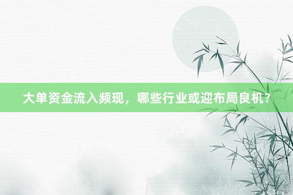 大单资金流入频现，哪些行业或迎布局良机？