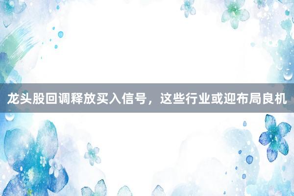 龙头股回调释放买入信号，这些行业或迎布局良机