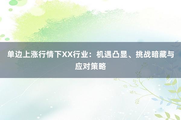 单边上涨行情下XX行业：机遇凸显、挑战暗藏与应对策略