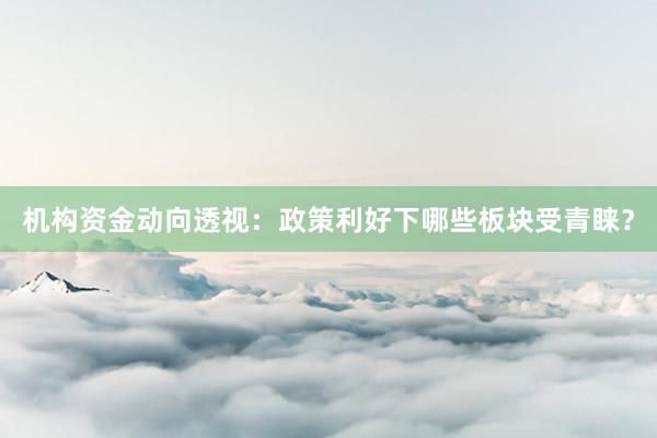 机构资金动向透视：政策利好下哪些板块受青睐？