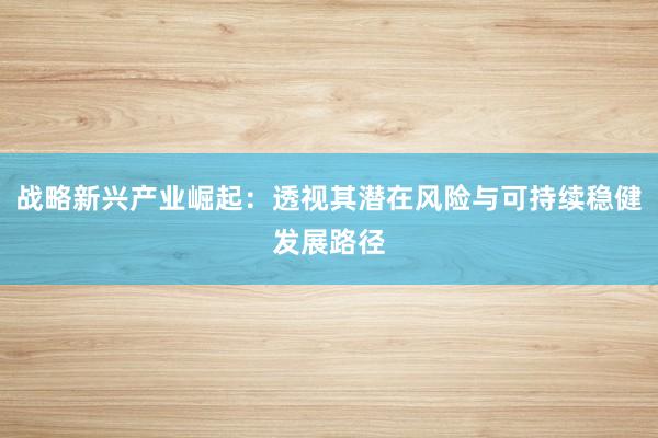 战略新兴产业崛起：透视其潜在风险与可持续稳健发展路径